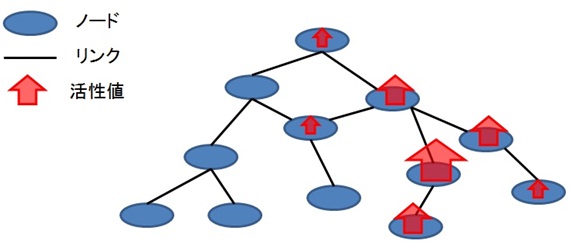 活性拡散の概念図